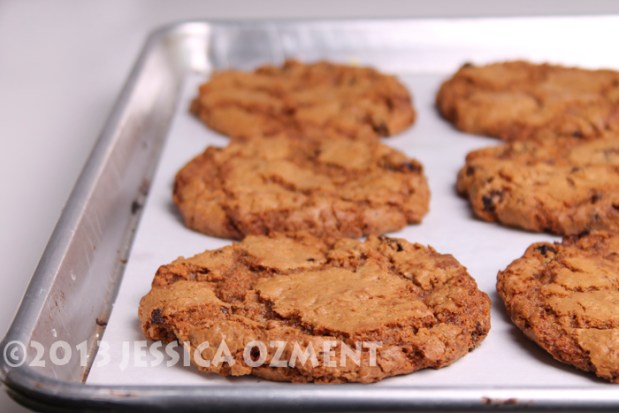 ozment oatmeal cookie_04