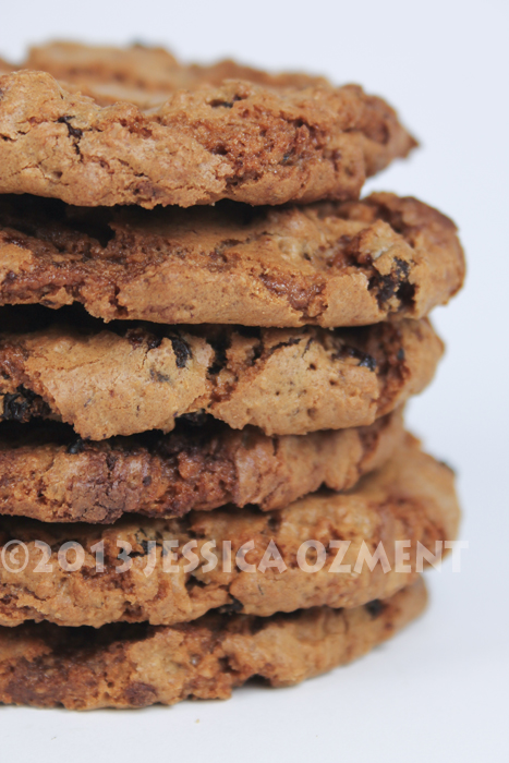ozment oatmeal cookie_05