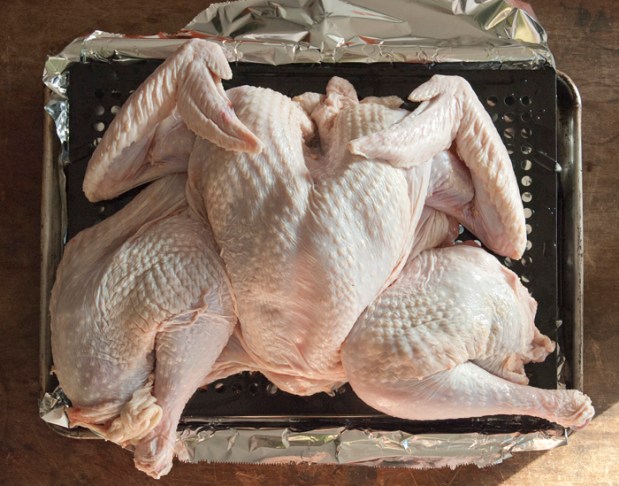Spatchcocked Turkey