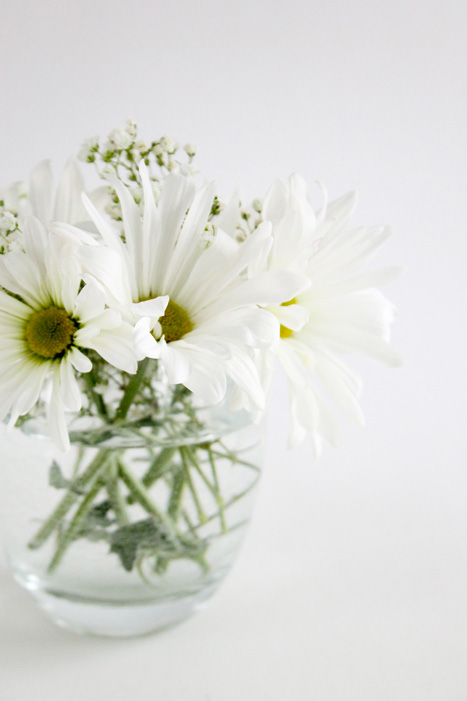 daisy, diasies, flowers, vase