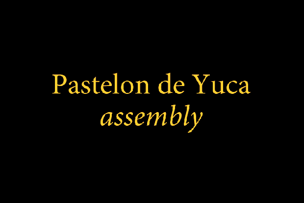 Pastelon-c.gif